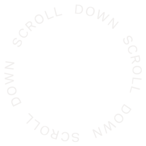 Scroll down to the homepage content